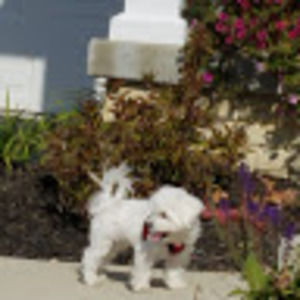 Meet your Posher, Cristina